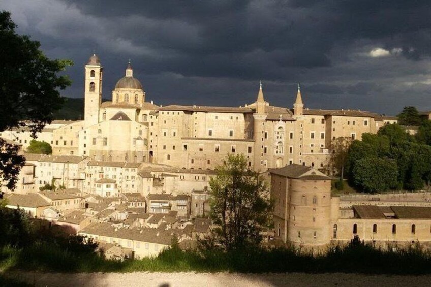 Urbino