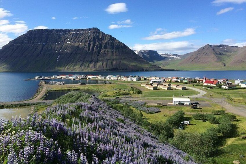 Guided private tour of Isafjordur and its fascinating rural surroundings