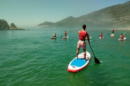 Stand Up Paddle Classes