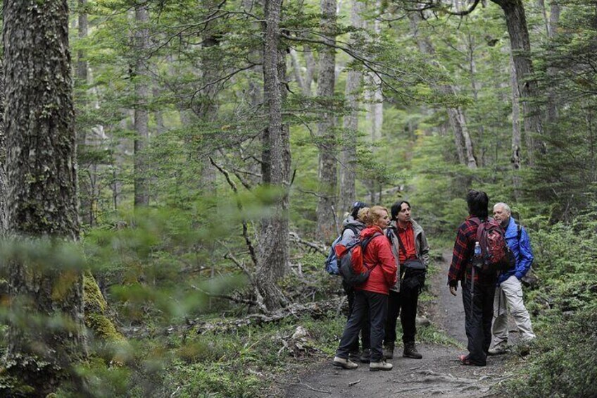 Private Tour: Tierra del Fuego National Park Trekking & Canoeing in Lapataia Bay