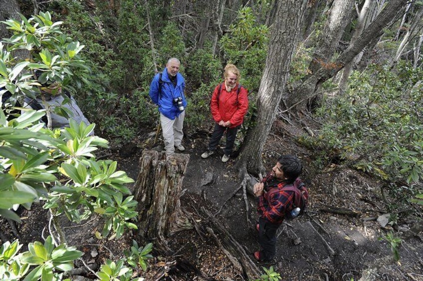 Private Tour: Tierra del Fuego National Park Trekking & Canoeing in Lapataia Bay