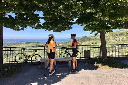 Racing Bike Tour Lake Garda to Valpolicella and Verona