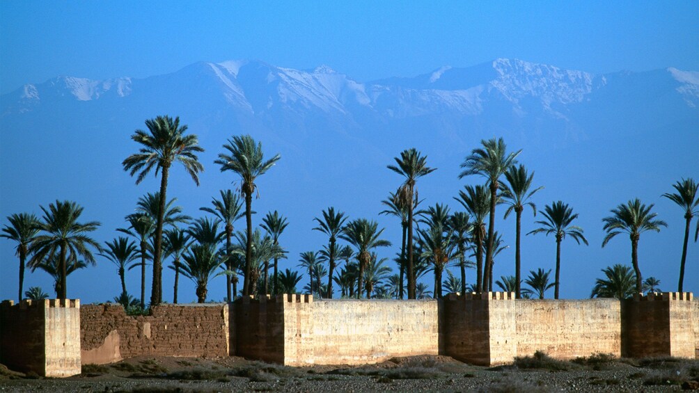 Menara Gardens with mountains in the distance in Marrakech