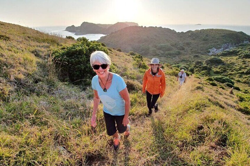 Guided walk on a pest-free island in the Hauraki Gulf