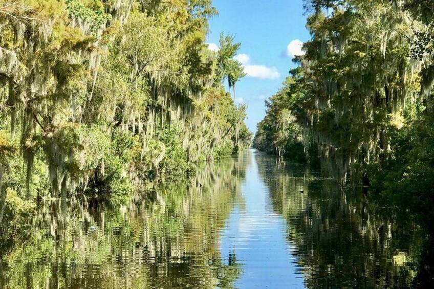 Guided Boat Tour of New Orleans Bayou and Wildlife