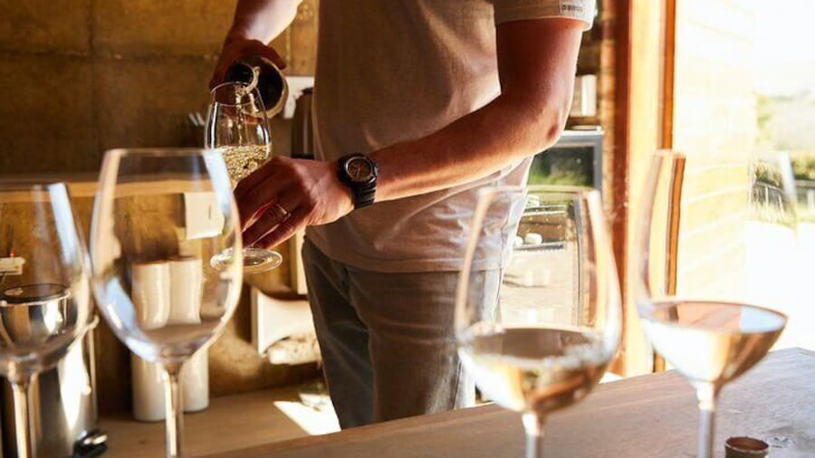 Private Tour of Top 5 Stellenbosch Wineries From Cape Town