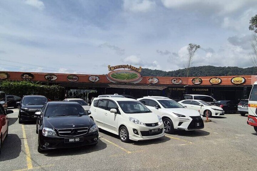 [Private] Cameron Highland Full Day Tour from KL City