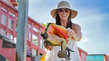 Providenciales Island Half-Day Tour