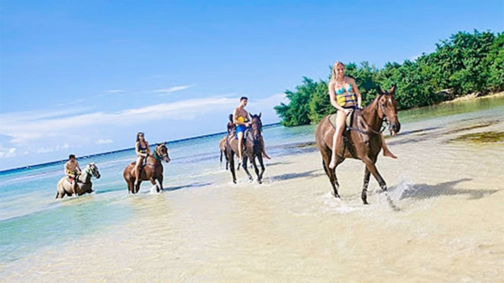Day view of Horseback Ride and Swim tour in South Coast, Jamaica
