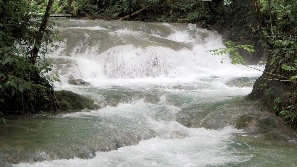Beautiful river view in South Coast, Jamaica