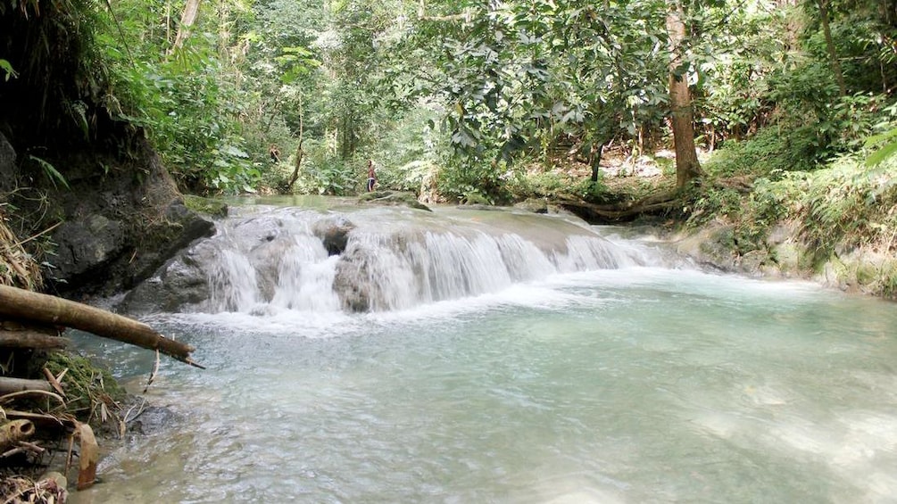 Beautiful view of the waterfalls in South Coast, Jamaica