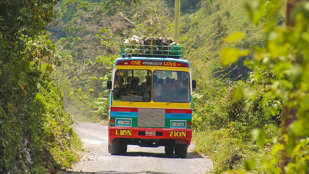 Tour bus filled with tourists riding down narrow street surrounded by forest.