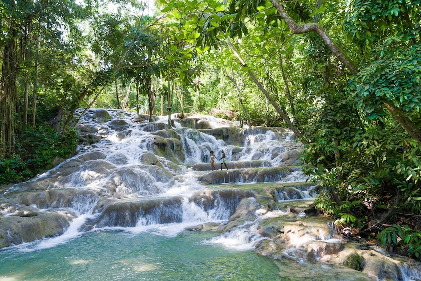Tour of Nine Mile & Dunn's River Falls with Lunch