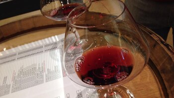 Pinot & Chardonnay Tour in the Côte d'Or