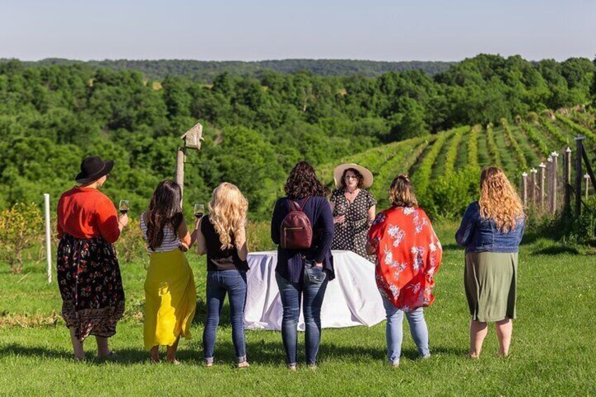 Small-Group Vineyard and Orchard Tour with Wine Tasting in Muscoda