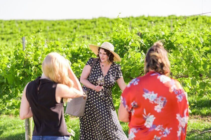 Small-Group Vineyard and Orchard Tour with Wine Tasting in Muscoda