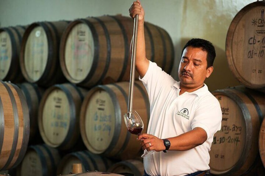 Process and Wine Tasting in Cellar Two Hemispheres - Puerto El Morro