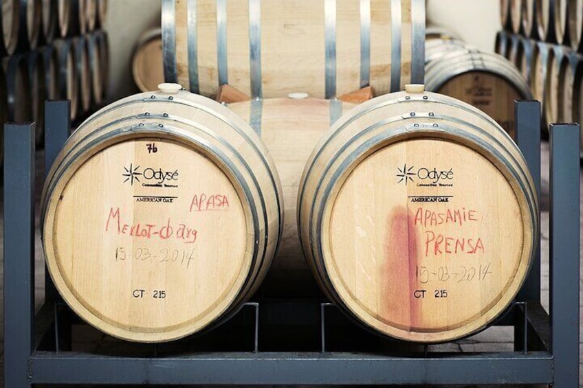 Process and Wine Tasting in Cellar Two Hemispheres - Puerto El Morro