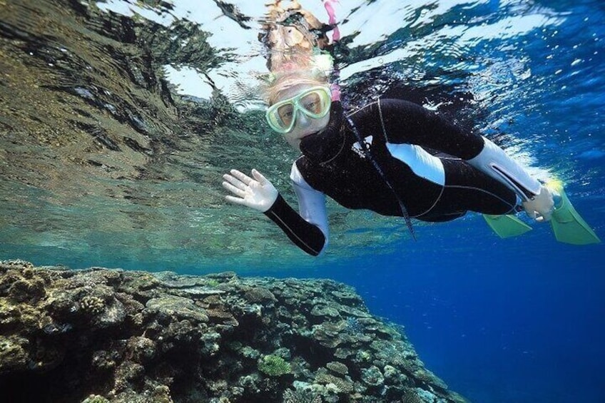 Full-Day Snorkeling Experience in Kerama Islands from Naha