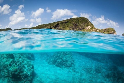那霸：沖繩慶良間群島全日浮潛體驗