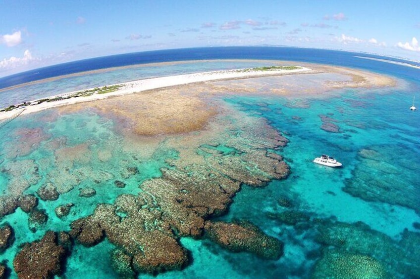 Full-Day Snorkeling Experience in Kerama Islands from Naha