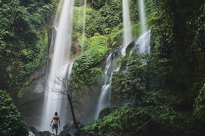 Best of Bali Waterfalls. Part 2 (Sekumpul, Munduk, and Banyumala Twins)