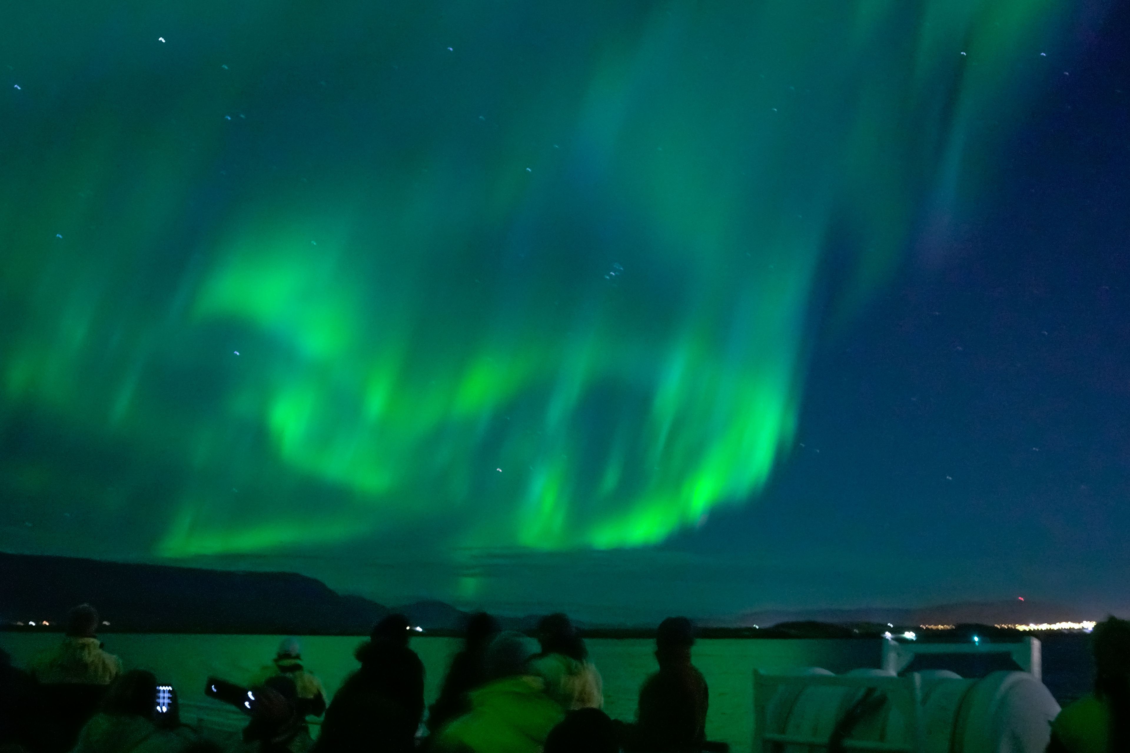 northern lights and orca watching