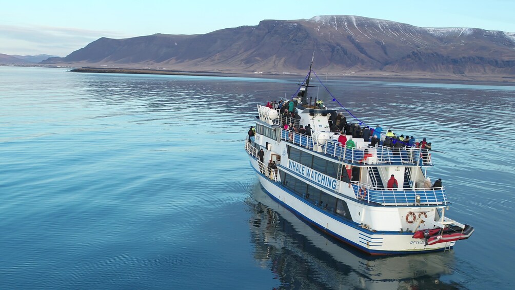 Whale-Watching & Northern Lights Cruise Combo Tour