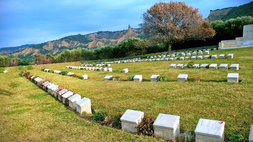 Wide angled view of cemetery gravestones.