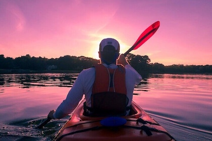 Kayaking from Bolgoda Lake