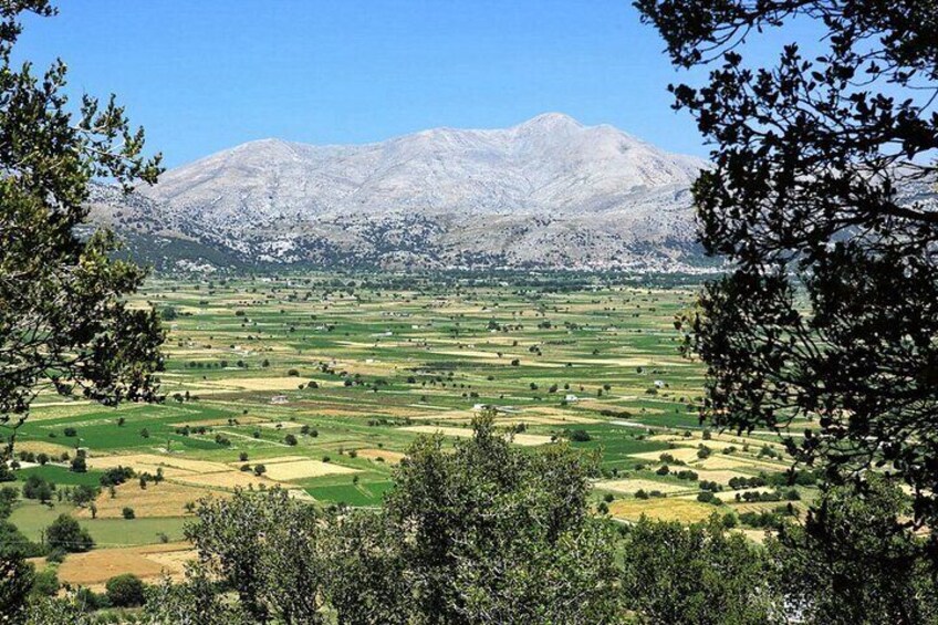 Visit the Unique Lassithi Plateau! Tour from Heraklion