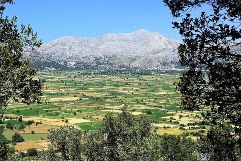 Visit the Unique Lassithi Plateau! Tour from Heraklion