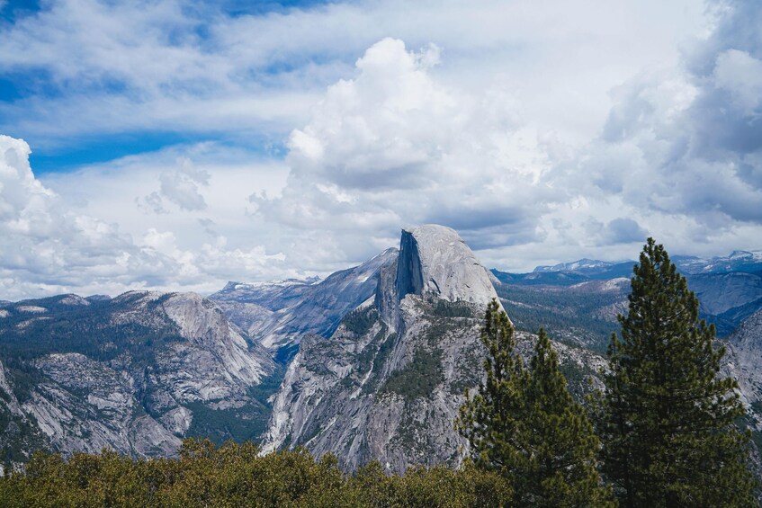 Show item 1 of 10. Best of Yosemite Tour - Giant Sequoias & Glacier Point