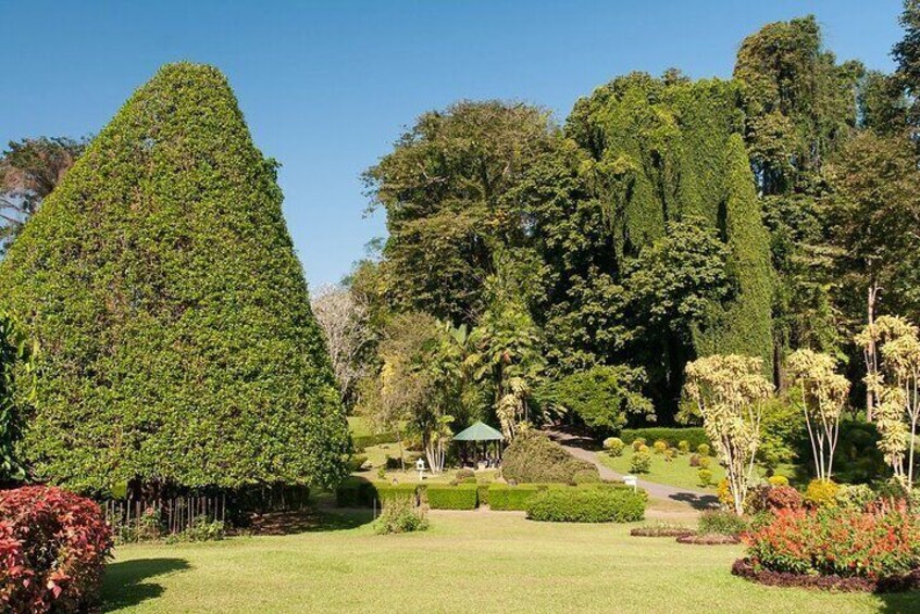 Peradeniya Botnical Garden