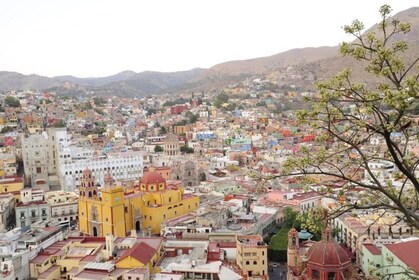 Guanajuato tour from San Miguel de Allende