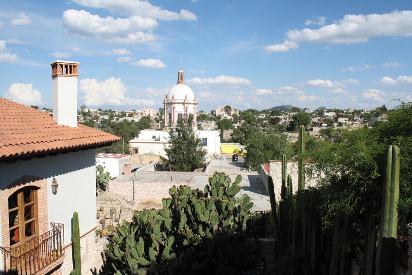 Mineral de pozos from San Miguel de Allende