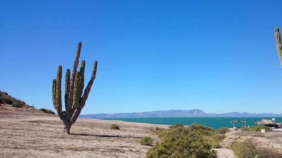 Tour Kino Bay from Hermosillo