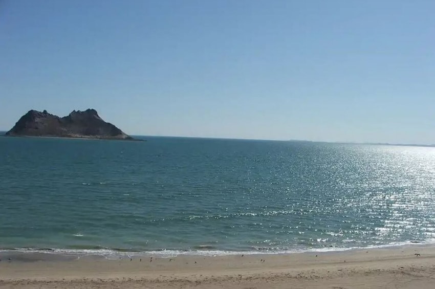 Tour Kino Bay from Hermosillo