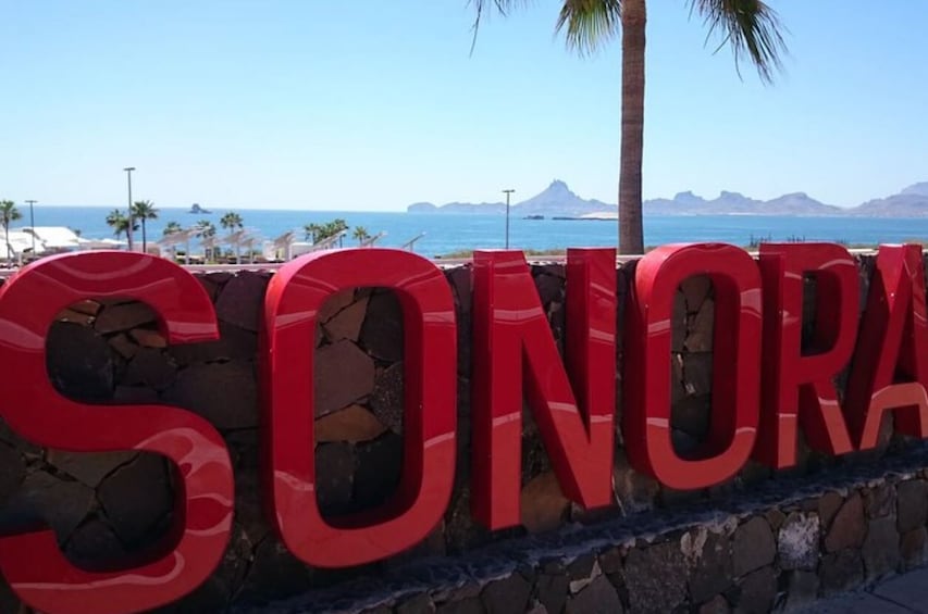 Show item 4 of 5. Tour Kino Bay from Hermosillo