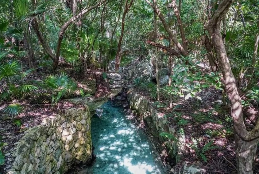 From Morelia route of Health