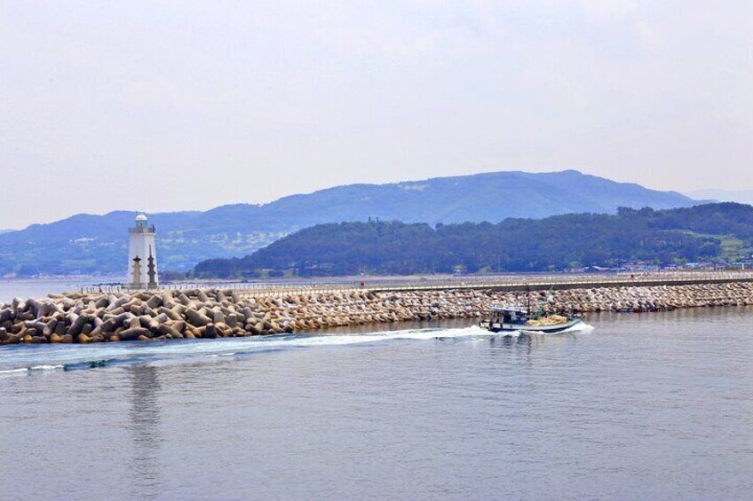 the eastern coast of Gyeongju Private tour with Columnar Joints Padosori