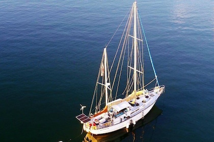 6 Hour Sailing Tour of Vineyard Haven Harbour and Sound