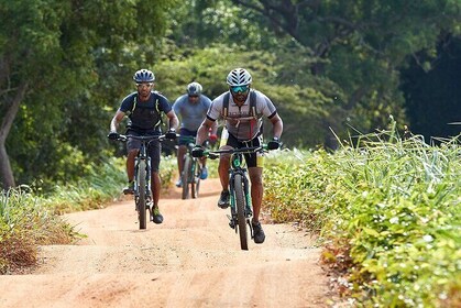 Mihintale Cycling Tour from Anuradhapura