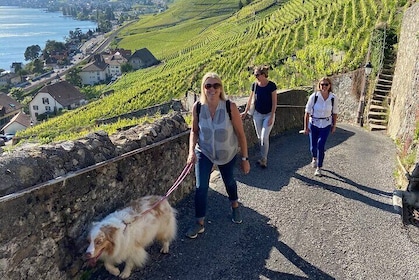 Vine Stories: Lavaux & Lutry Weinspaziergang