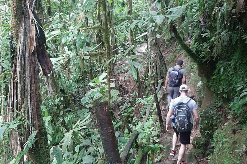 Full Day Manuel's Waterfalls from Guayaquil