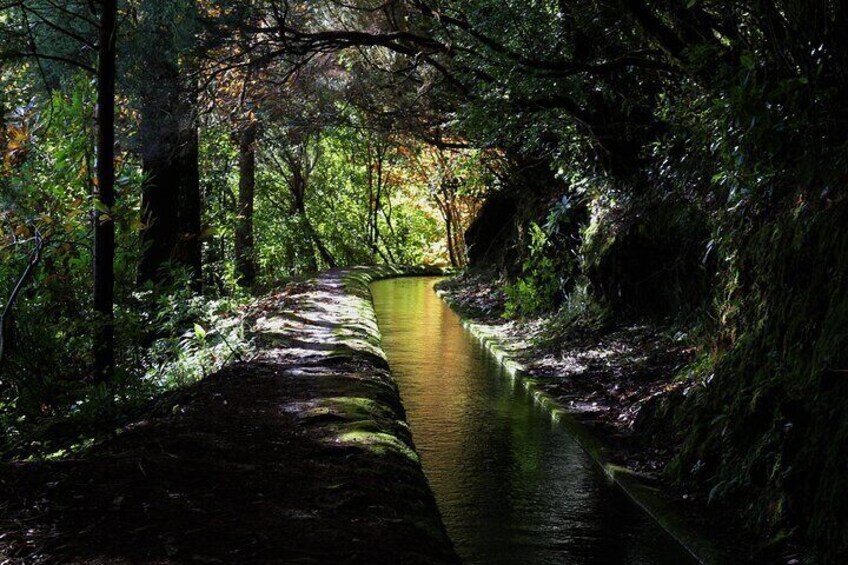 In an island where flat land almost doesn't exists, we have thousands of Kilometers of flat, man made, water channels, bringing water from the heart of our forest. This is a highlight of the island.