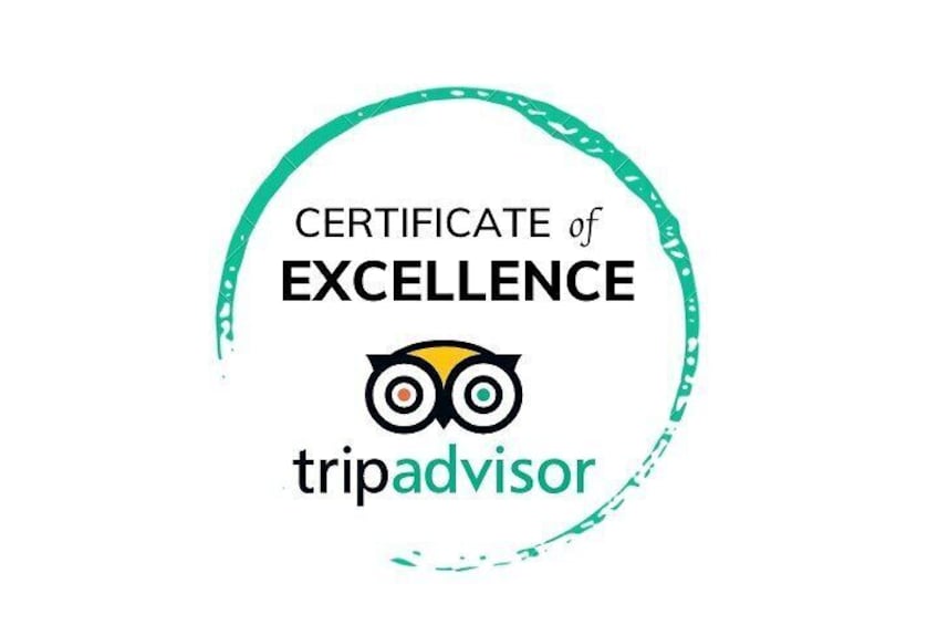 Cape Town Peninsula and Penguins Private Tour (Traveler's Choice Award)
