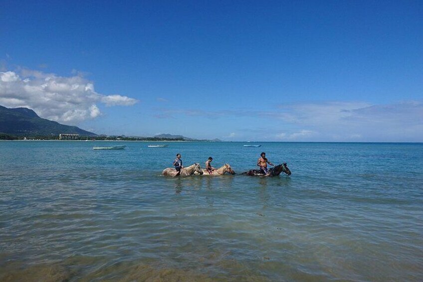 Beach Horse Back Riding Rancho Lorilar