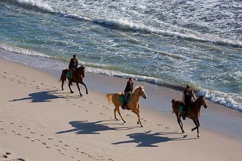 Beach Horse Back Riding Rancho Lorilar