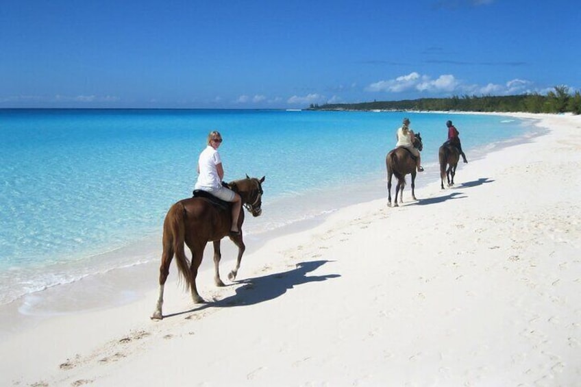 Beach Horse Back Riding Rancho Lorilar